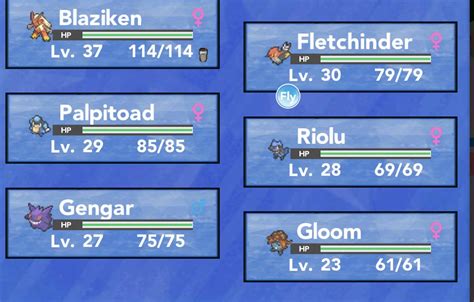 My team before the 3rd gym (Pokémon brick bronze) : r/MandJTV