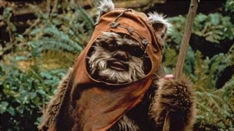 Star Wars Voilà à Quoi Ressemble Un Ewok Sans Poils Premierefr