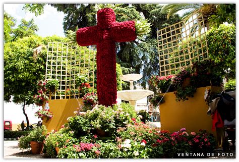 Foto Cruces De Mayo C Rdoba Andaluc A Espa A