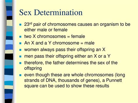 Genetics Beyond Mendel Ppt Download