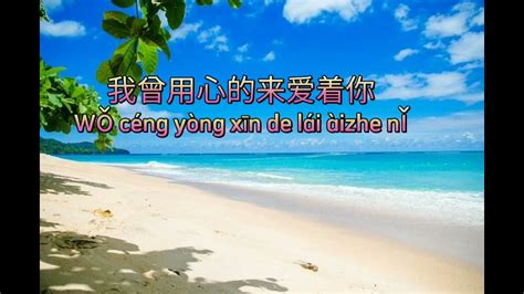 Pan Mei Chen 潘美辰 Wo Ceng Yong Xin Ai Zhe Ni 我曾用心爱着你【karaoke Version