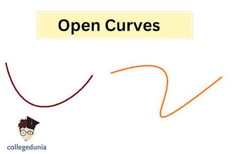 Curve Meaning Types And Examples