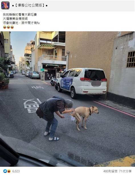 黃汪路中央炸屎「飼主1神物撈走」 6千人狂讚：專業接棒賽 Ettoday網搜新聞 Ettoday新聞雲