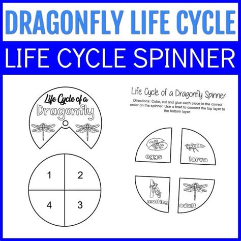 The Life Cycle Spinner For Dragonfly Life Cycles