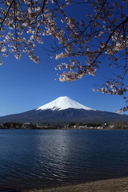 Mt Fuji With Sakura IMG 1390 DPP A Photo On Flickriver