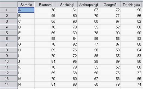 Contoh Dataset