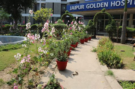 Jgh Garden Connecting Health And Nature Jgh Delhi