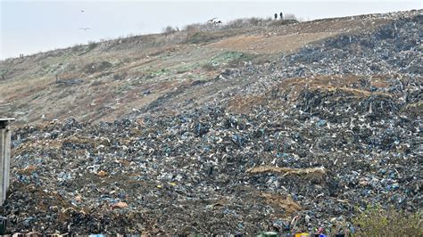 Fotogalerija Sindikalist Objasnio Kako Izgleda Odvoz Otpada Na