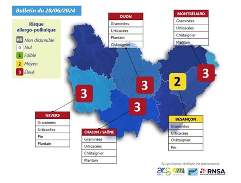 Pollen En Bourgogne Franche Comt Le Risque Allergique Toujours Bien