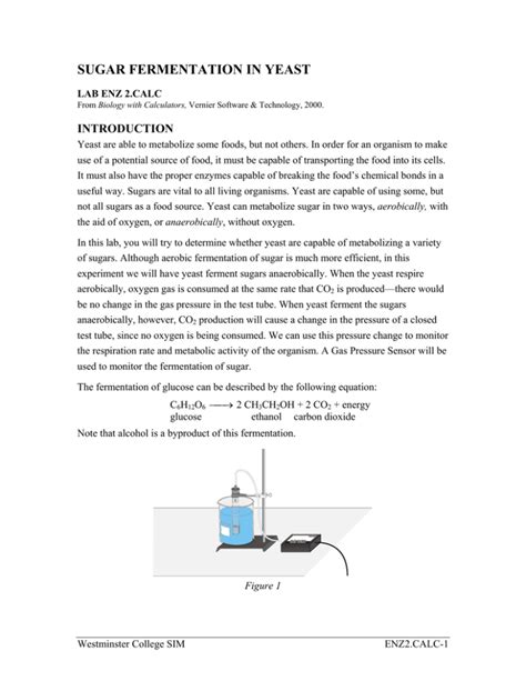 SUGAR FERMENTATION IN YEAST INTRODUCTION