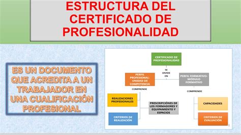 ESTRUCTURA DE UN CERTIFICADO DE PROFESIONALIDAD By Pelaezlozano Issuu