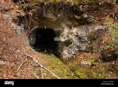 Bat gate at entrance to Gold Stake Mine in Coleville National Forest ...