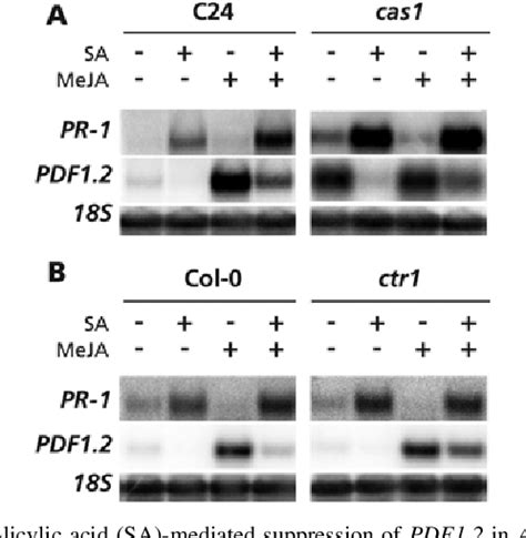 Figure From Ethylene Signaling Renders The Jasmonate Response Of