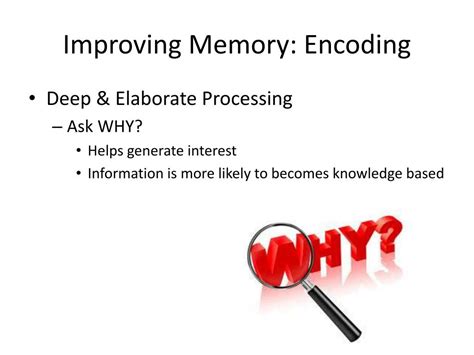 Ppt Memory What Can I Do To Improve It Powerpoint Presentation