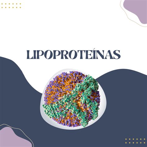 As Lipoproteínas São Complexos Formados Por Vários Tipos De Lipídios