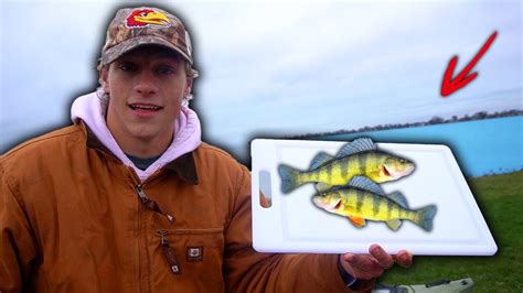 Lake St Clair Yellow Perch CATCH CLEAN COOK YouTube