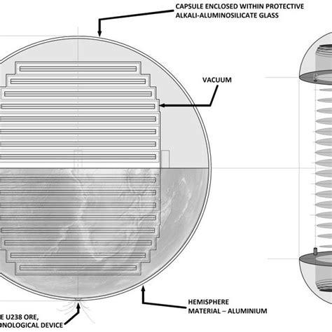 Capsule Assembly Closed Ts Section And Visualisation Off Perspective Download Scientific Diagram