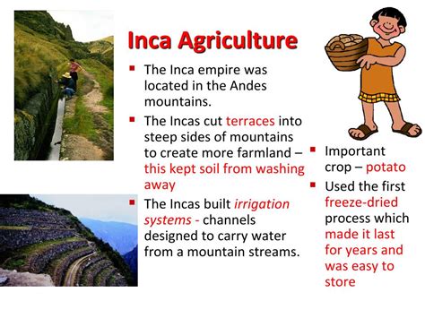 Ppt Inca Civilization Powerpoint Presentation Id742928