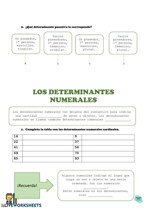 Mi Clase De Segundo Los Determinantes Posesivos Numerales E Sexiz Pix