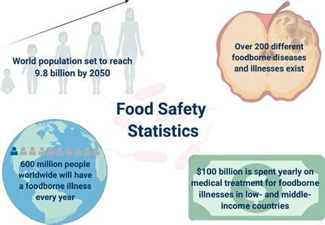 Three Types Of Food Contaminants Safety Poster Food Safe New Zealand ...