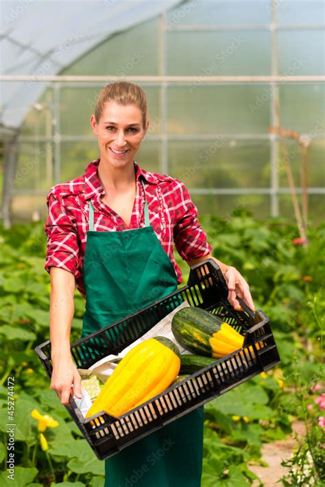 G Rtnerin In Ihrer G Rtnerei Mit Gem Se In Kiste Stock Foto Adobe Stock