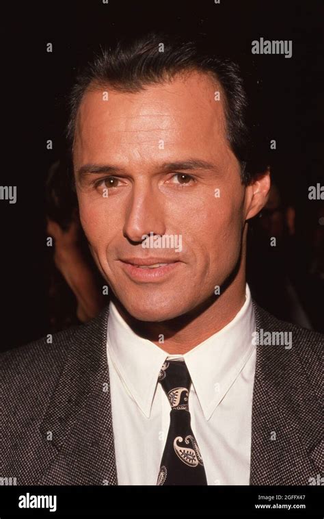 **FILE PHOTO** Michael Nader Has Passed Away At 80. Michael Nader Circa