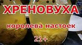 Квас из хрена, вместо «Виагры» / Квас з хріном/ Домашний квас с ржаным ...