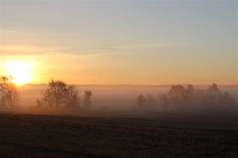 Sunrise on a Flower Field · Free Stock Photo