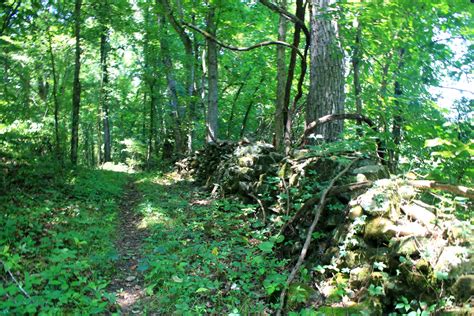 River Viewrock Wall Trails Loop Tyler Bendbuffalo River 4 Mi