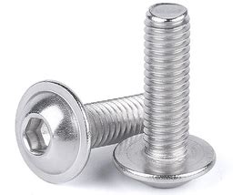 316 Stainless Steel FlangedButton Head Screws | Lily Bearing