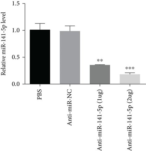 Knockdown of miR 141 5p reverses the effect of TNF α on primary