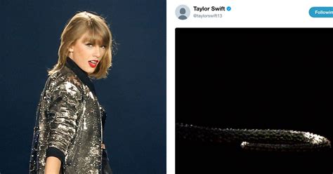 Taylor Swift’s Social Media Accounts Share Video of a Snake | Teen Vogue