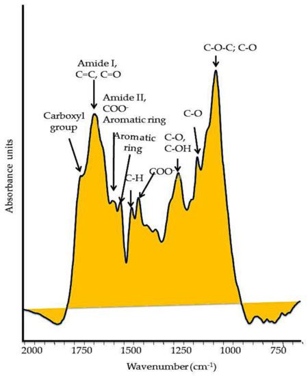 Structure Of Humic Substances Encyclopedia Mdpi