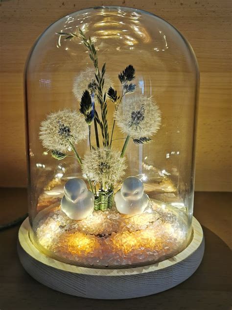 Pusteblumen Im Glas Mit Licht Fr Hlingsdekoration Fr Hlings