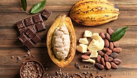 Масло какао: свойства и применение — Психология
