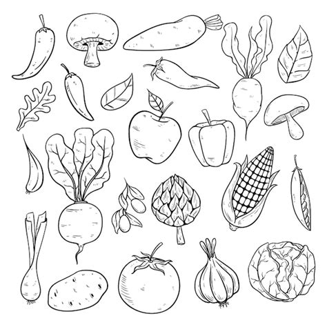 Premium Vector | Vegetables collection with sketch or hand drawn style