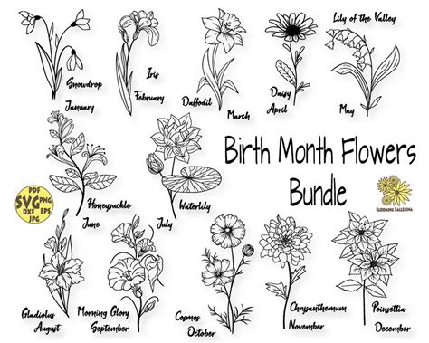 Birth Month Flowers Svg Bundle Birth Month Flower Flower Etsy Canada