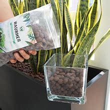 Waurher Leca Expanded Clay Pebbles Grow Media Lb For Indoor Plants