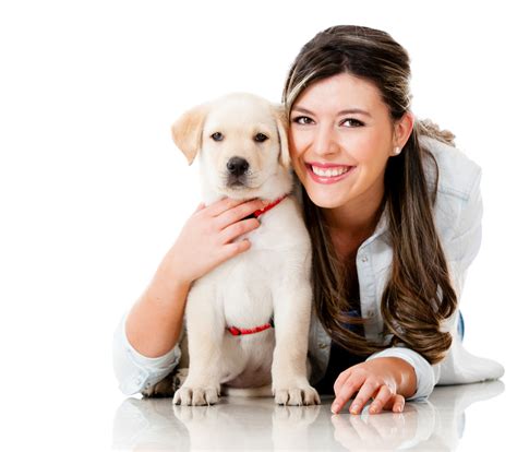 Histiocytoma in dogs… Relax, actually sounds a lot worse than it is!