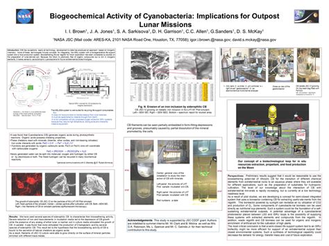 Pdf Biogeochemical Activity Of Cyanobacteria Implications For