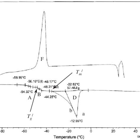 Dsc Thermogram Of Sample Containing Freezable Water X O W Is 0498 Download Scientific Diagram