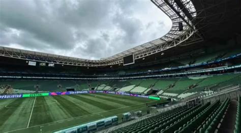 Palmeiras Recebe Documento Da FIFA Sobre Gramado Do Allianz Parque