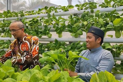 BI Dorong Kemandirian Ekonomi 13 Pesantren Di Babel ANTARA News