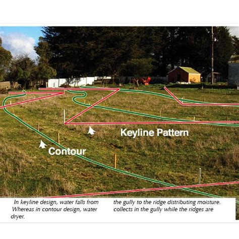 Permaculture Keyline Design And Soil Building On Horse Properties Part 2