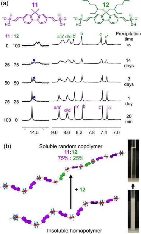 A ¹h Nmr Spectra Of Homopolymers And Copolymers Involving 11 And 12