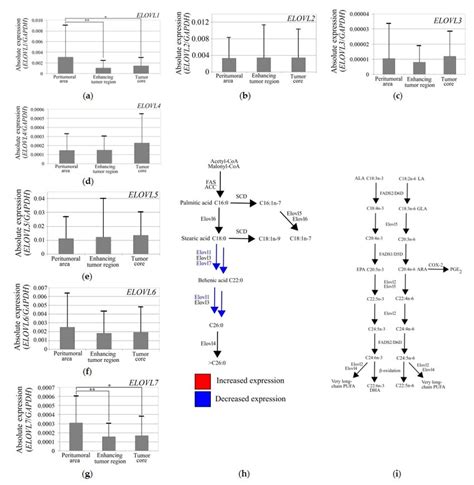 Expression Levels Of Elongases In A Gbm Tumor Expression Levels Of A