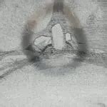 Aqua Sex Free Porn Video D Xhamster