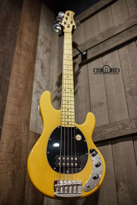 Sterling Stingray 5 Classic Butterscotch 5 String Bass Guitar Ray25ca Bsc M1 852956007226