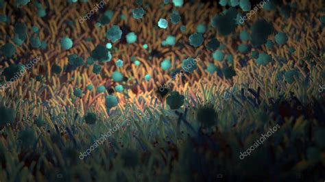 Una Imagen Sobre El Tema De La Microbiolog A Y Las Diferentes Formas