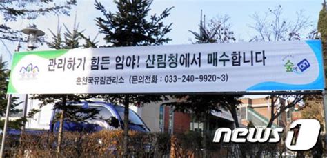 산림청 671억 들여 사유림 매입 안정적 경영 도모 뉴스1